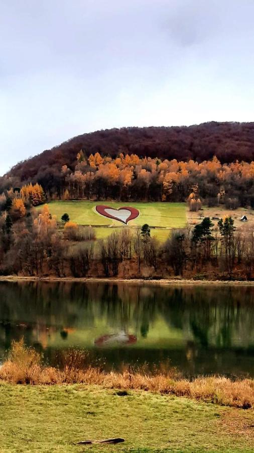 Solina